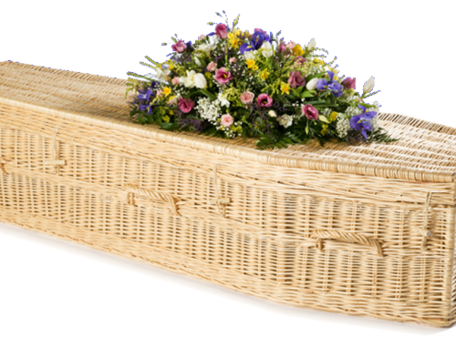 Willow Highsted – White